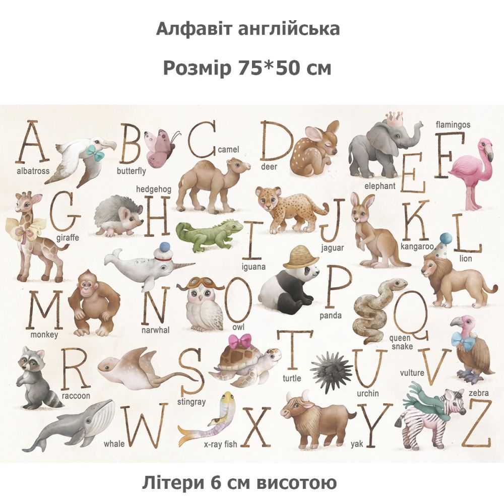 Алфавіт англійська