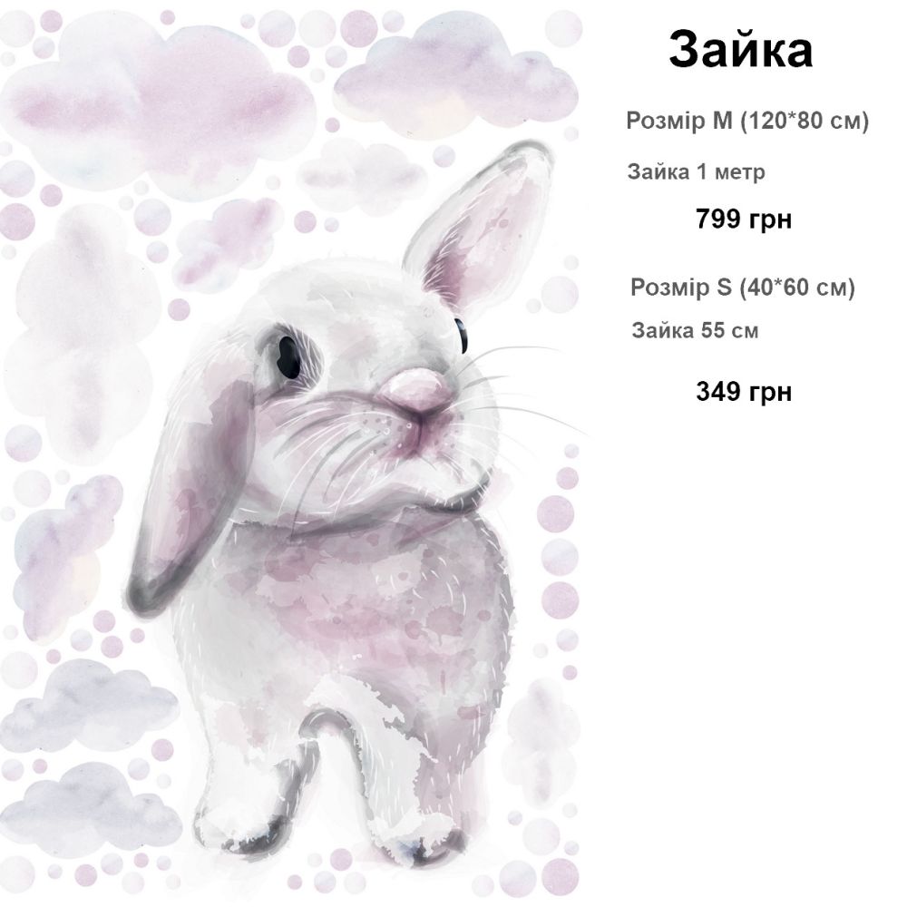 Зайка